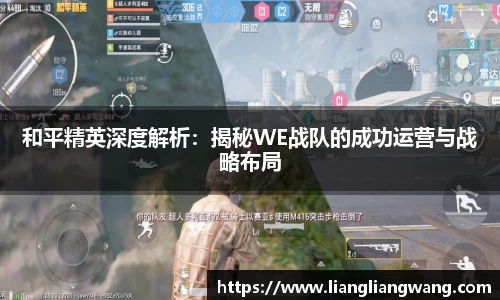 和平精英深度解析：揭秘WE战队的成功运营与战略布局
